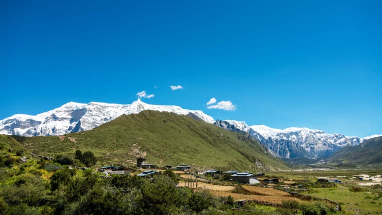 Travel Himalaya Image 10